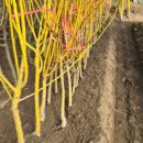 황금3로-R 이미지