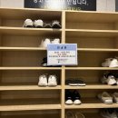 자마이카휘트니스 이미지