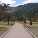 금수문화공원야영장(3) 이미지