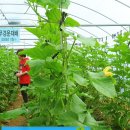 하늘연달농장 | [저탄소 인증 시범농가 현장체험]무경운농법과 경운농법의 차이