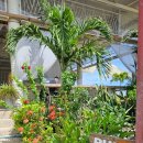 씨싸이드 | 세부맛집 부코 씨싸이드 바 앤 레스토랑 재방문한 후기 및 메뉴 추천