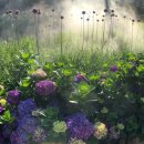 송호농장 이미지