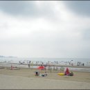 춘장대여기 이미지