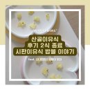 산골이야기 | 산골이유식 후기 2식 종료, 시판이유식 밥볼 이야기