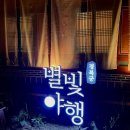 별빛소리 | 경복궁 별빛야행 후기 예매 주차