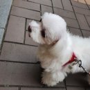 와리농장 이미지