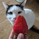 경보약국 | 3월에 쓰는 2월 결산