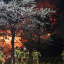 국가재난사태의 대응 ... 이미지