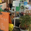 홈마트 영대점 | 경산 영남대 술집 - 분위기 좋고 친절한 커스올라 방문 후기