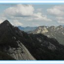 석전시장 이미지