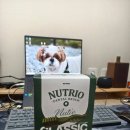 들래미 | [협찬]박춘식의 뉴트리오 뉴티클래식 구강케어 강아지 덴탈껌 체험단