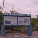 화순리 지석묘 이미지