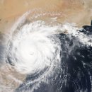 선수촌로 이미지