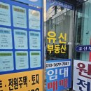 유명공인중개사사무소 | 동아대원룸전세! 유신공인중개사사무소 후기