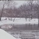 1월은 오스틴에서 "눈이 가장 많이 내리는" 달일까? 이미지