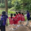 월아산 우드랜드 이미지