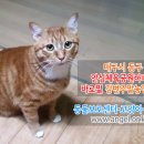 강변농장 이미지