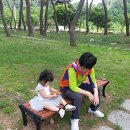 지천솔밭 이미지