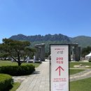 효덕이네 | 효덕여행 제대로 한 어버이날! 여기어때 콘서트팩 고성 후기