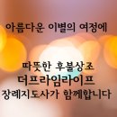 본라이프상조 이미지