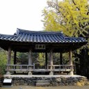 영주 소수서원 문성공묘 이미지
