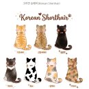 묘냥묘냥 | 부천 고양이 이발관 신중동점 여름맞이 미용,목욕 후기
