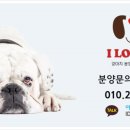 아이러브펫동물병원 이미지