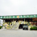 민통선한식부페 이미지