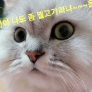 우리별 당구클럽 이미지