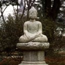 여래3구 Daum카페