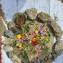 수서어린이집 이미지