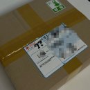 <새벽을 여는 농부> 부추 주문 후기 | 내돈내산 스마트스토어 부추 추천
