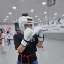 다한태권도장 이미지