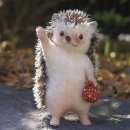 동행키즈풀빌라펜션 이미지