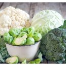 엔에이핏 이미지