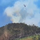 김삿갓면-2 이미지