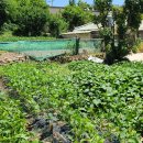 삼수경로당 이미지