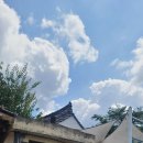 대흥쌀상회 이미지