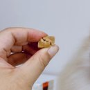 펫큐브 | 엘레강스펫 강아지 가수분해간식 스테이크큐브 솔직 후기