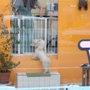 머뭉공간 이미지