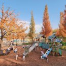 팽성대교길 | 팽성 내리문화공원 주차장 놀이터 경기도 평택 여행 핑크뮬리 명소 가볼만한 곳