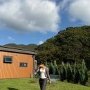 리틀 타이니 하우스 이미지