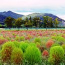 황산공원 이미지
