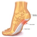 세종마취통증의학과의원 이미지