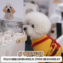 (주)위드케어 이미지