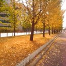 수성고등학교 Daum카페
