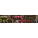 풍기북로 이미지