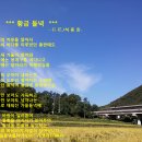 황금들녁 이미지