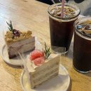 스테이 다다르다 이미지