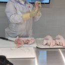 하림치킨 - 용산구 청파로71길 13 | 하림치킨